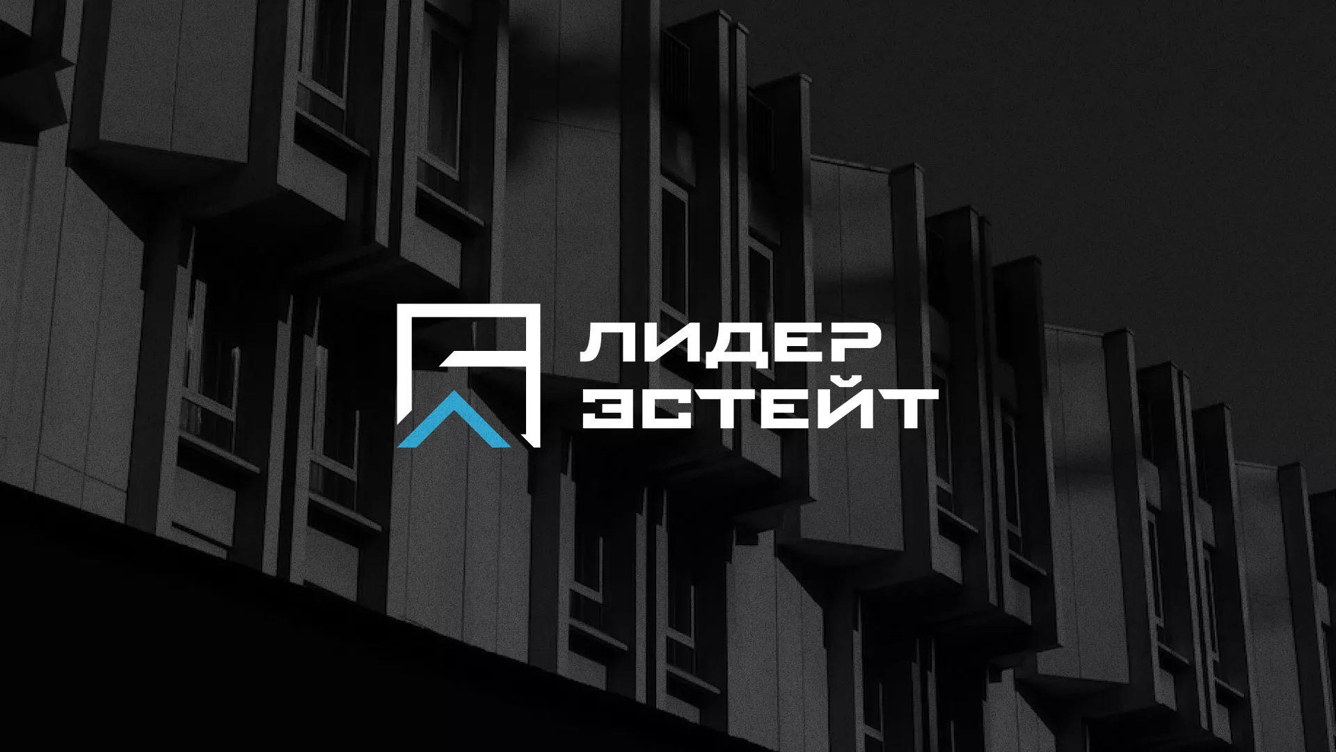 Разработка логотипа агентства недвижимости «Лидер Эстейт» в Сорске